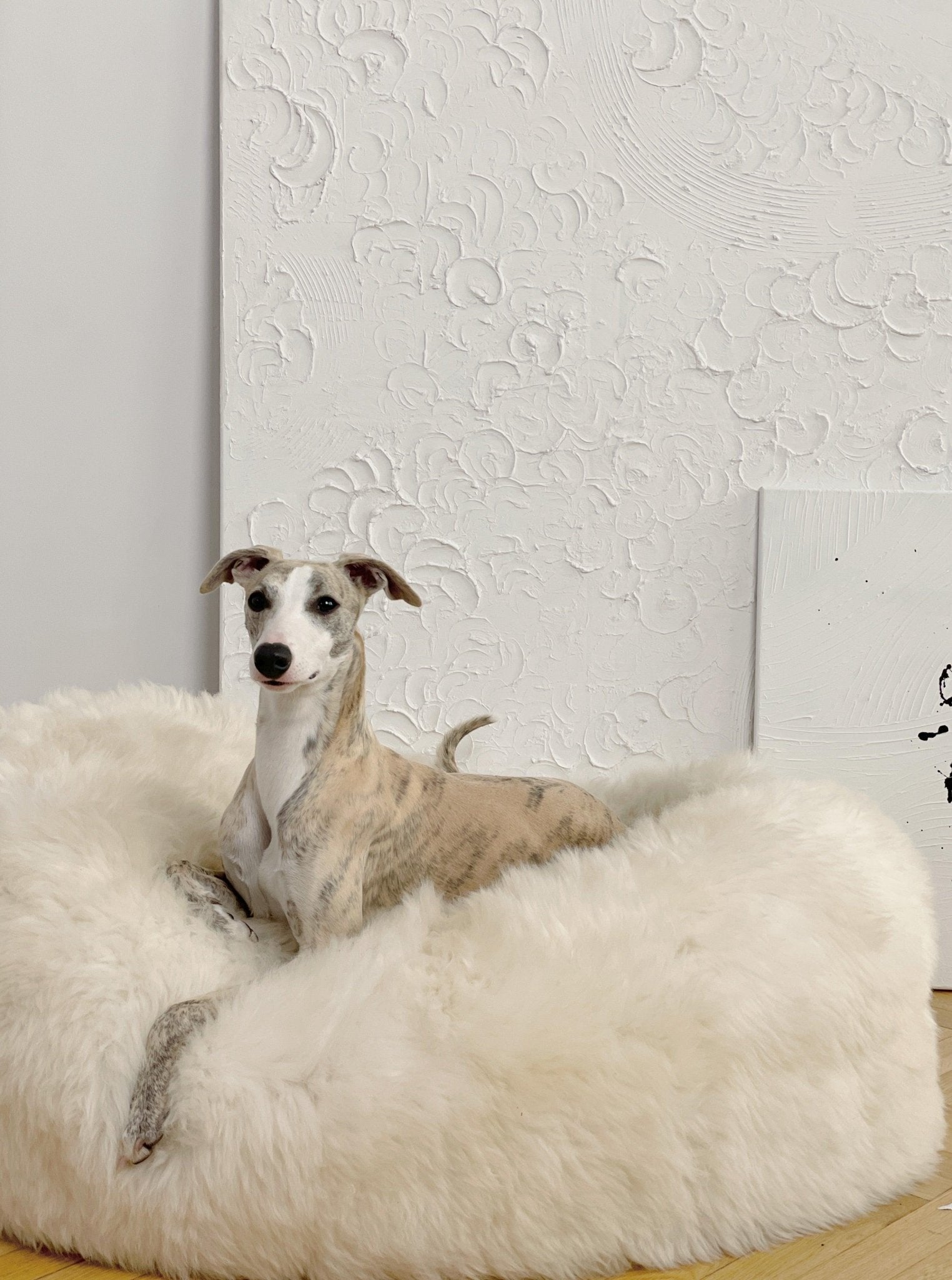 Oval Natural Sheepskin Pet Bed - White - Your Home