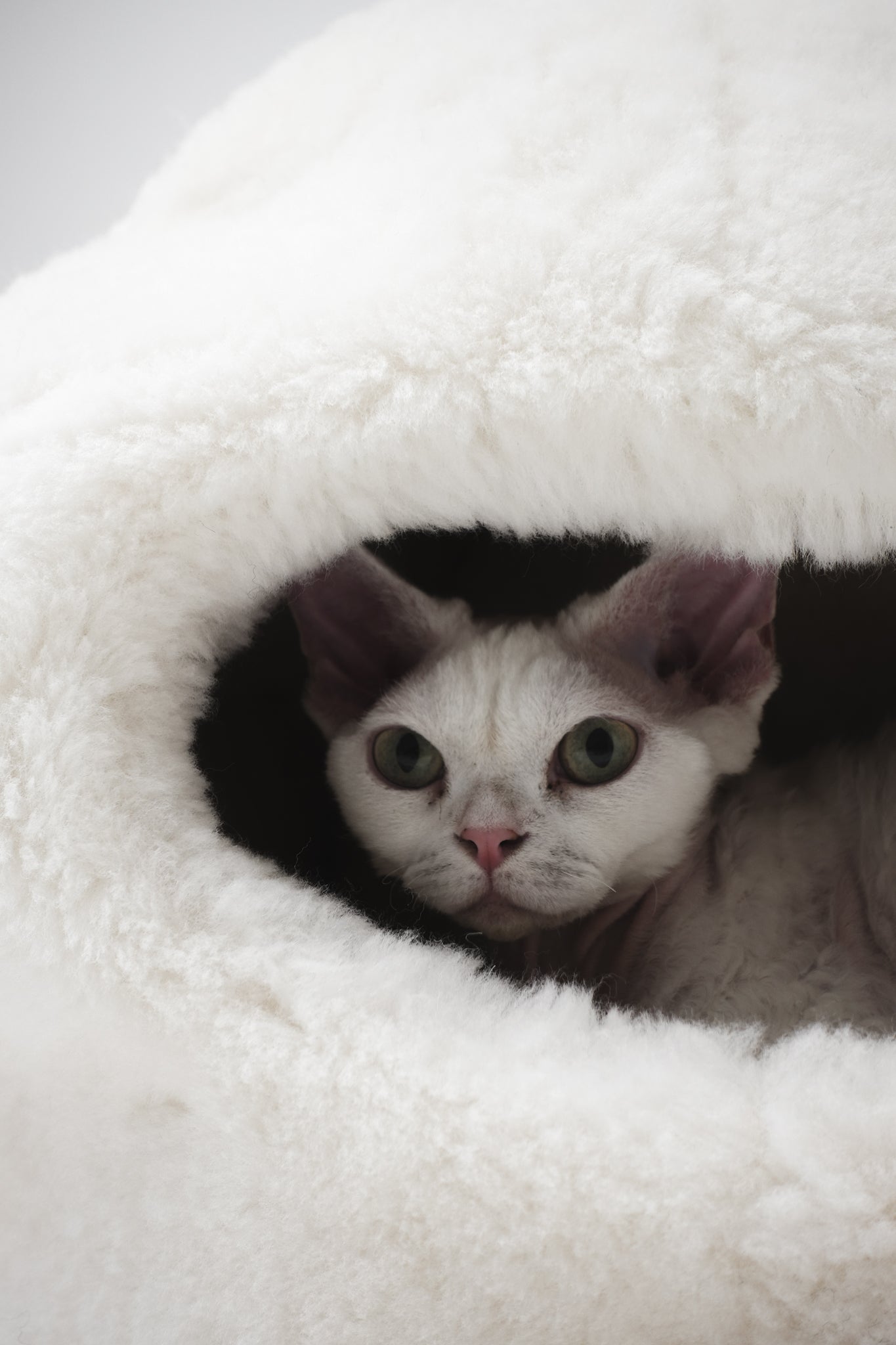 Nest Natural Sheepskin Pet Bed - White - Your Home
