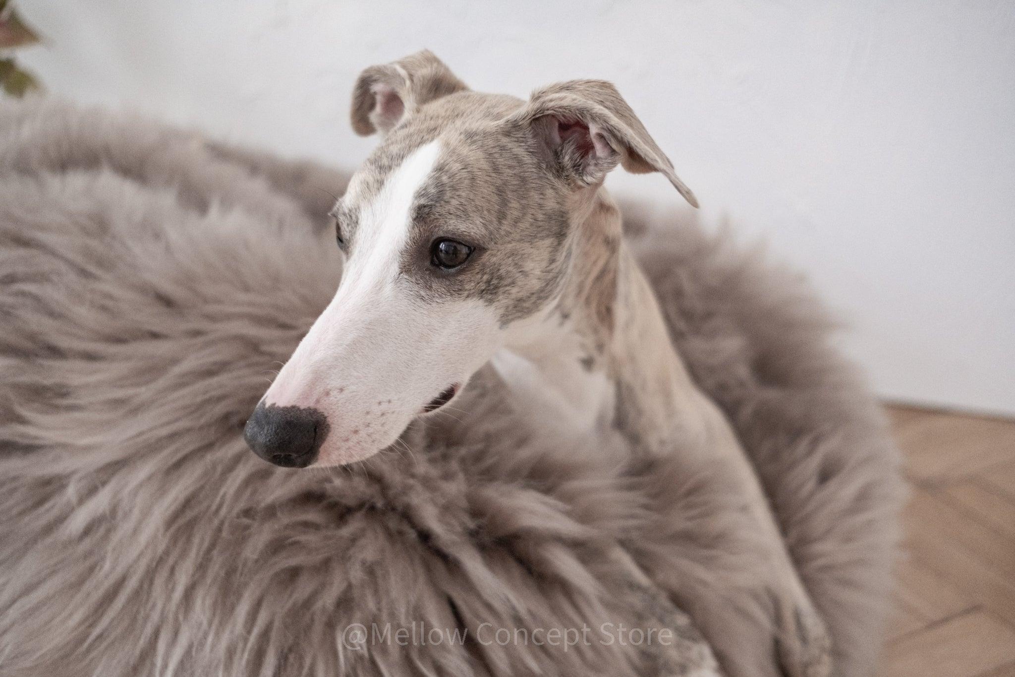 Oval Natural Sheepskin Pet Bed - Greige - Your Home