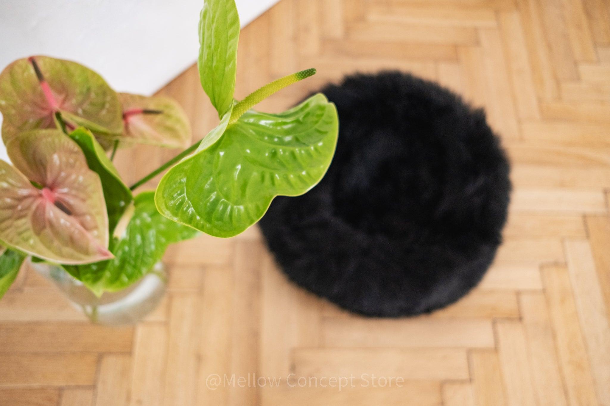 Round Natural Sheepskin Pet Bed - Black - Your Home
