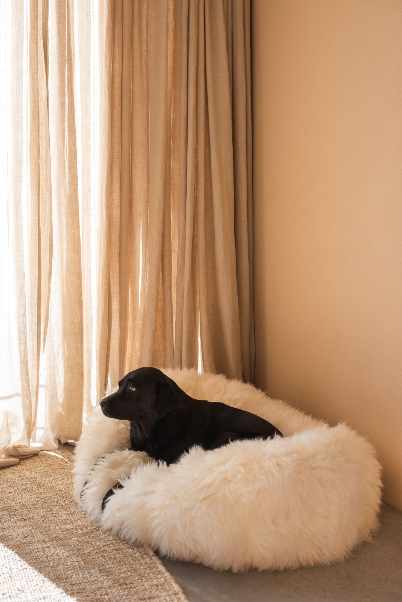 Oval Natural Sheepskin Pet Bed - White - Your Home