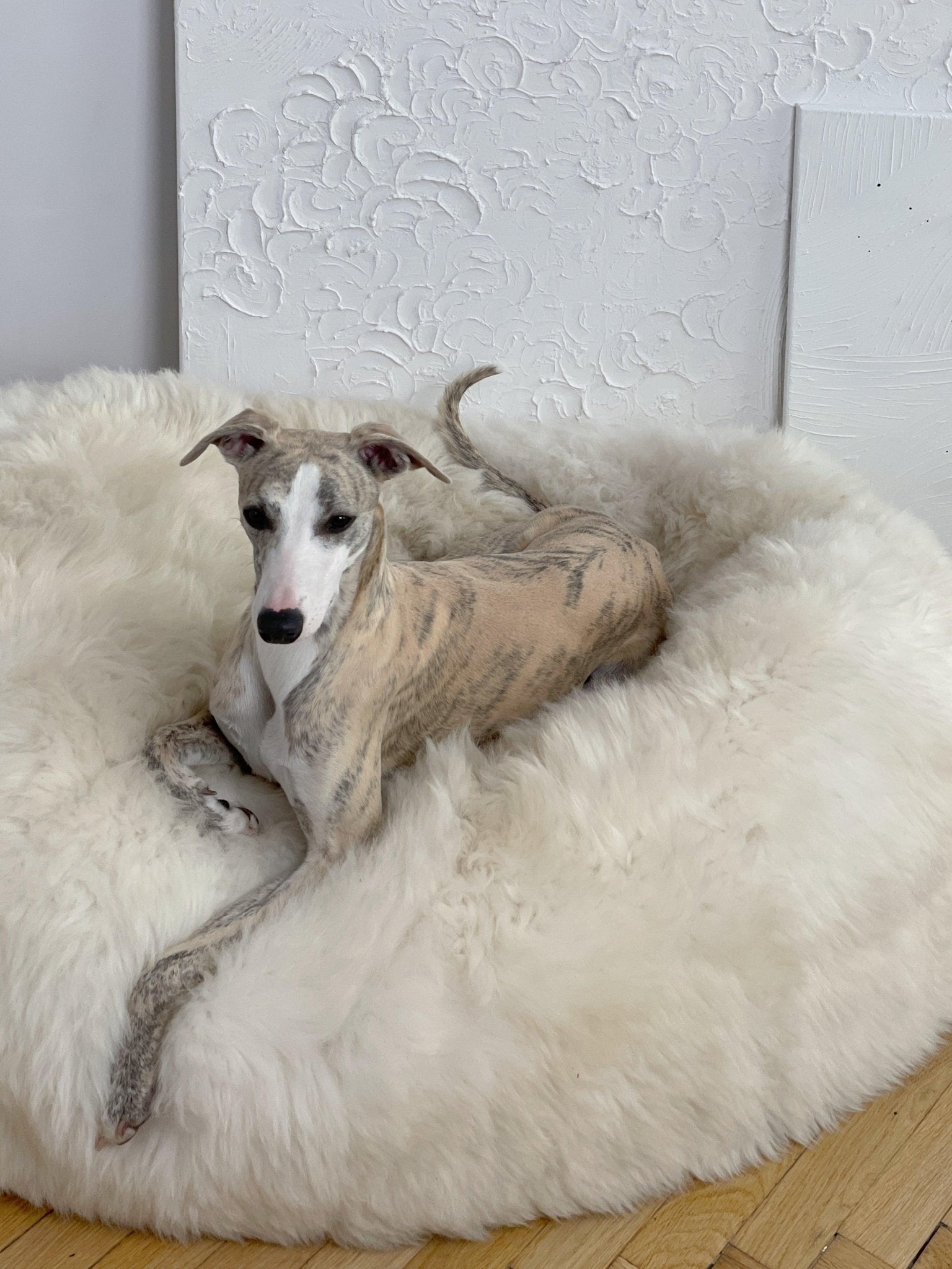 Oval Natural Sheepskin Pet Bed - White - Your Home