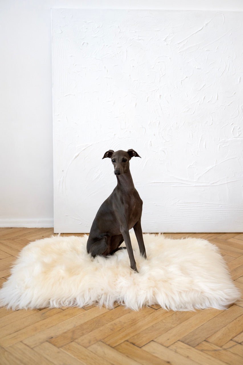 Square or Rectangular Natural Sheepskin Pet Mat - White - Your Home