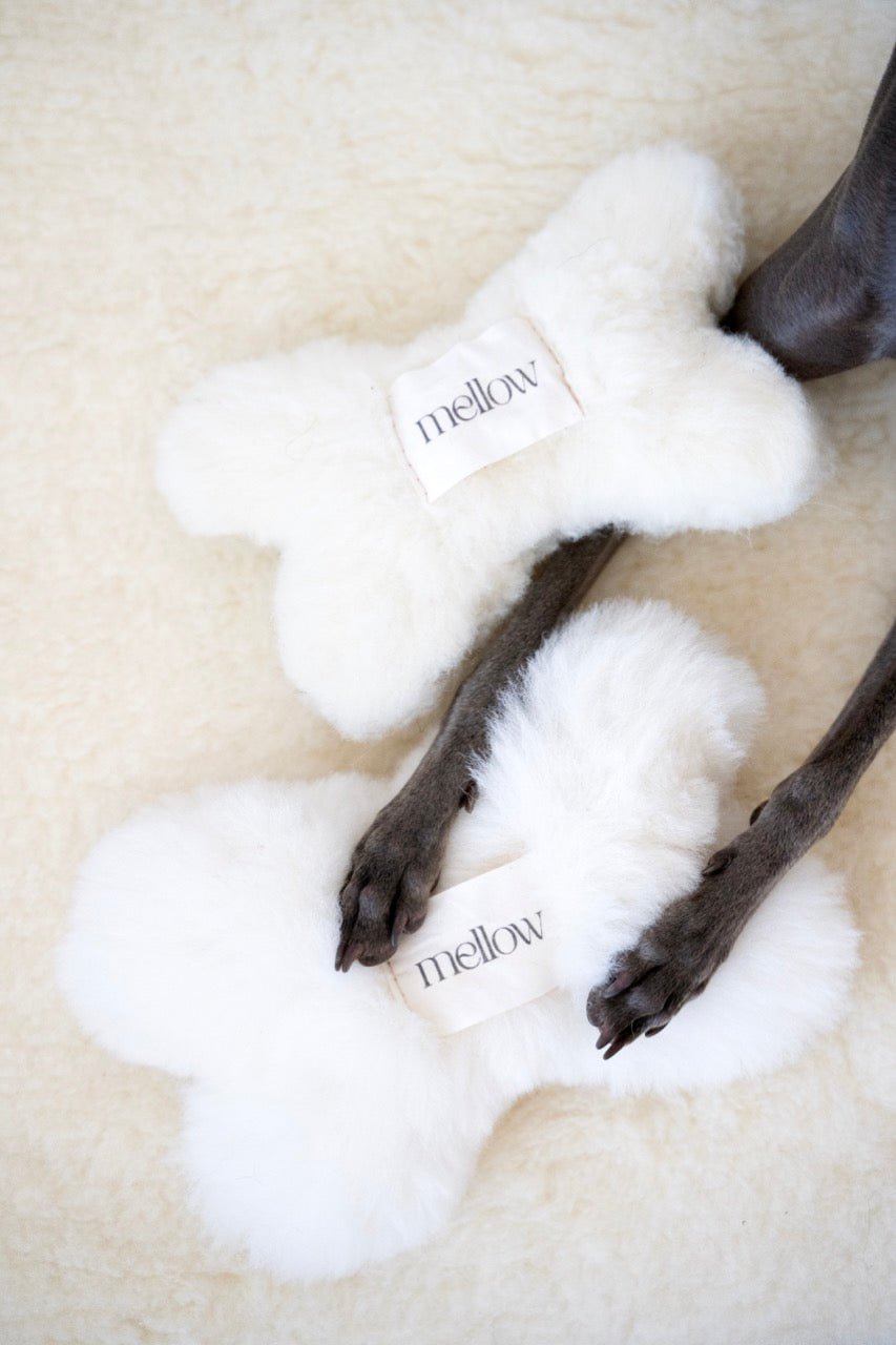 Natural Woolen Dog Toy - Bone - White - Your Home