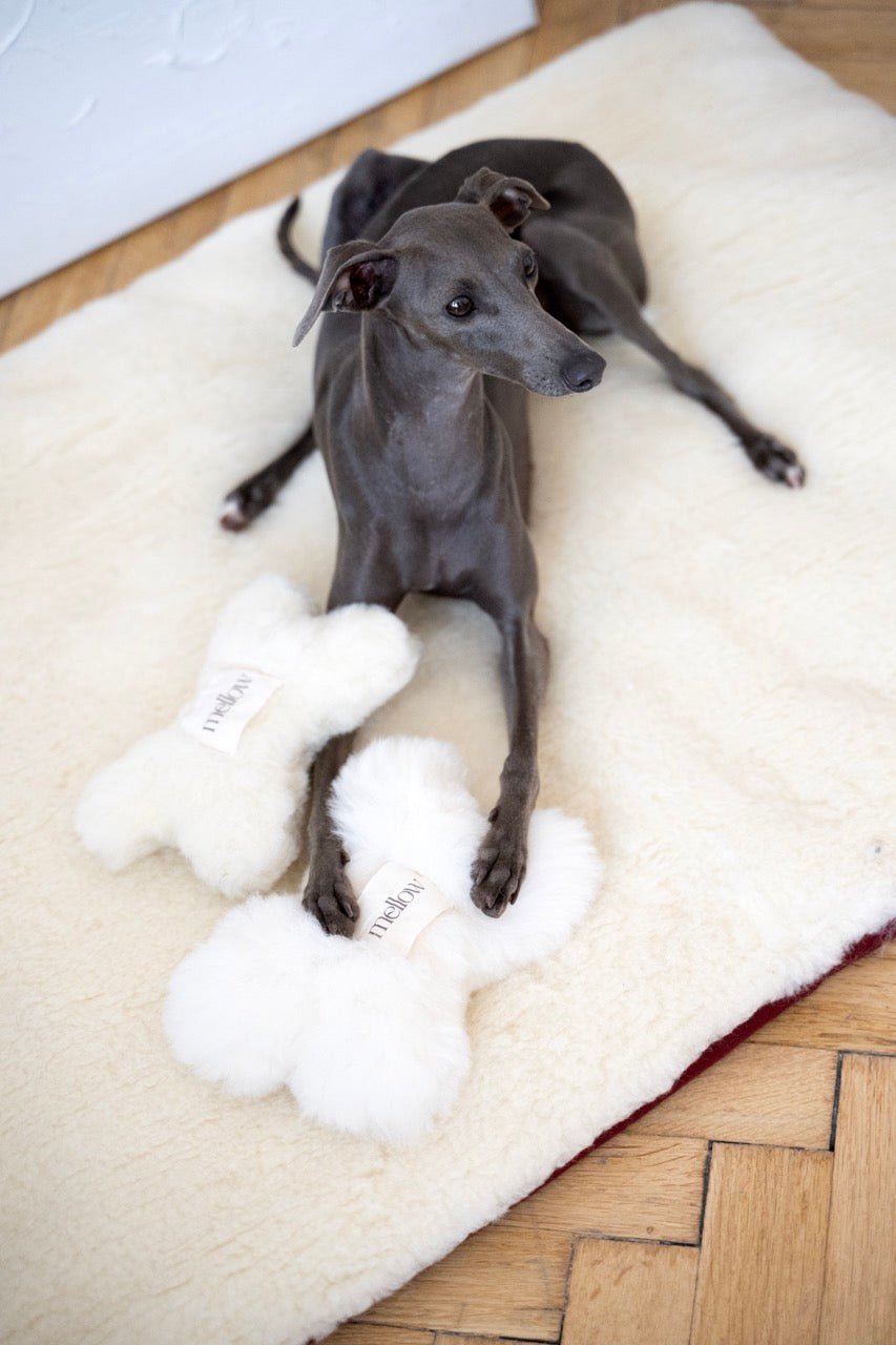 Natural Woolen Dog Toy - Bone - White - Your Home