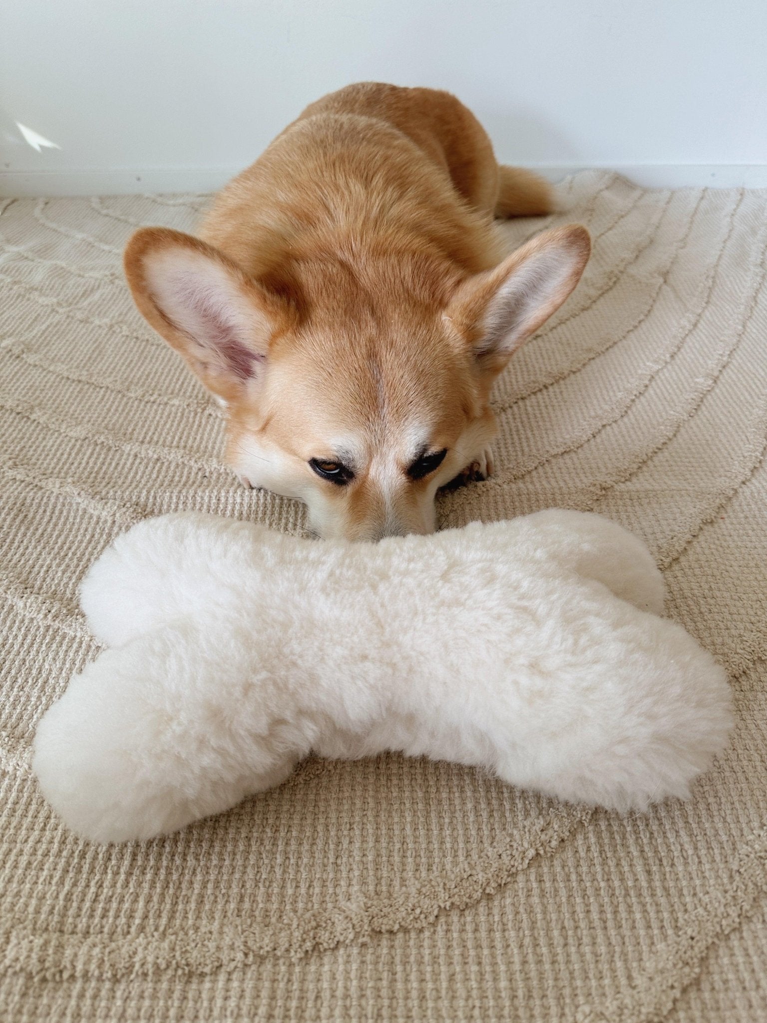 Natural Woolen Dog Toy - Bone - White - Your Home